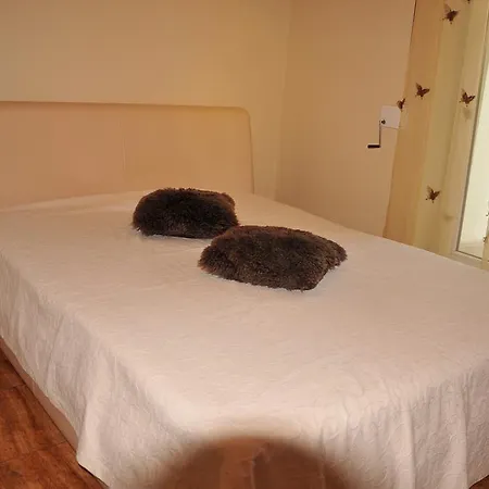 Kristinos Apartamentai - Vytauto Palanga